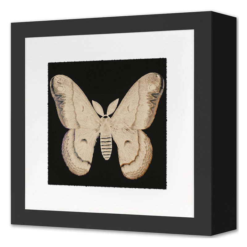 Flutter 6 Print by Todaro, Katie