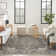 Knibbs Machine Woven Polypropylene/Polyester Area Rug in Gray