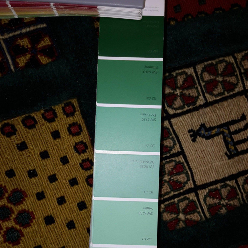 Aryiel Oriental Area Rug in Green