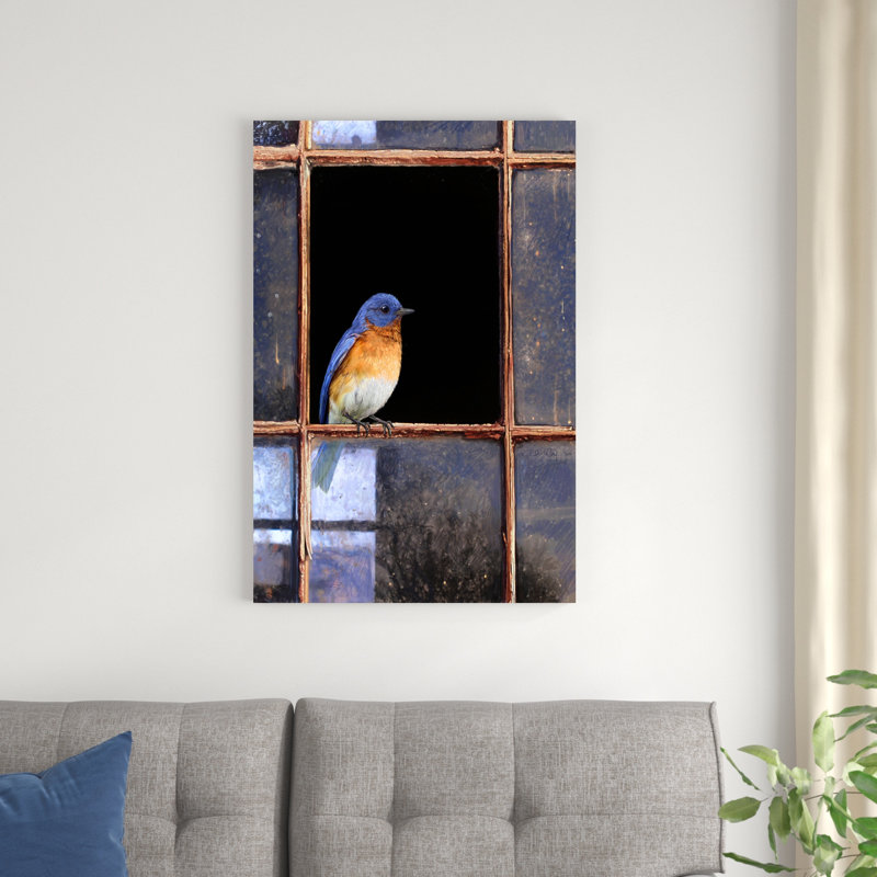 Fenêtre Bluebird, H 36 po x l 24 po x P 1,25 po
