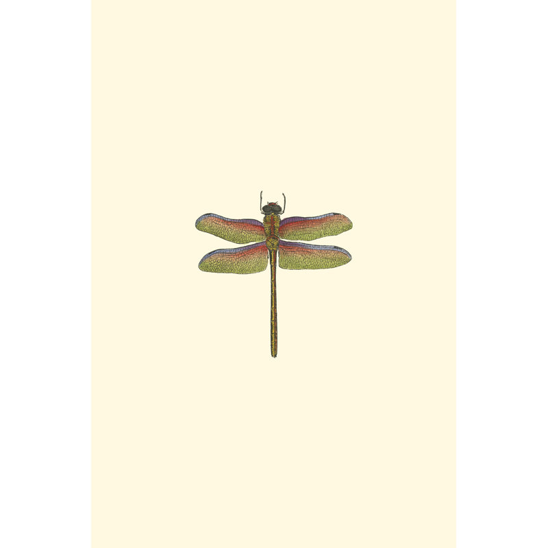 Miniature Dragonfly III (JR) by Vision Studio - Wrapped Canvas Painting, 46cm H x 30cm W