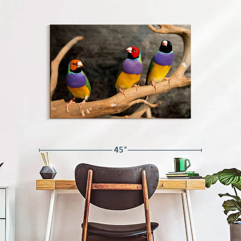 Rainbow Finches, 26" H x 39" W
