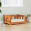 Pet Bed-1958300955