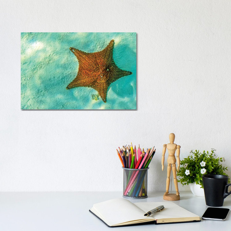 Starfish In Sea With Copy Space 1 Piece Wrapped Canvas Wall Art, 20.32 cm H x 30.48 cm W