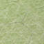 Tapis vert intérieur / extérieur Alina -470416741