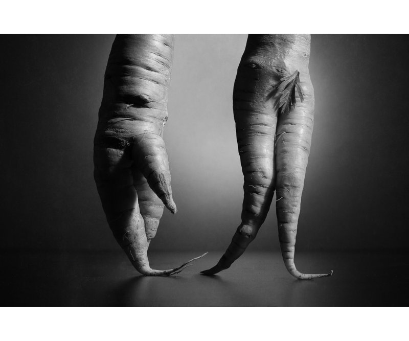 Wrapped Canvas Print, 50.8 cm H x 76.2 cm W