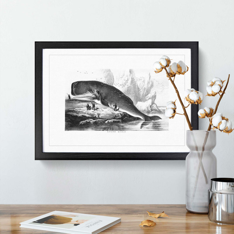 Hunted Sperm Whale by John Karst - Framed Print, 36cm H x 48cm W x 2cm D, Black Framed