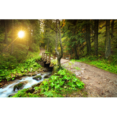 Mountain Forest In Sunset by Konradlew - Wrapped Canvas Print