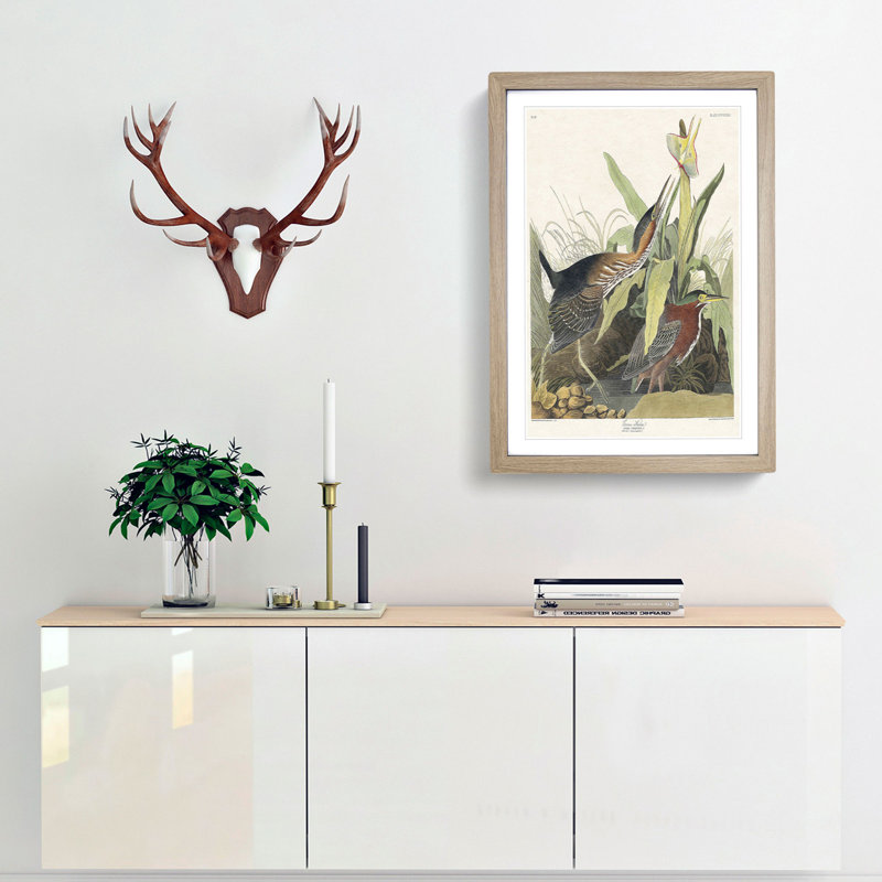 Green Heron by John Audubon - Picture Frame Painting Print, Oak Framed, 65cm H x 48cm W x 2cm D