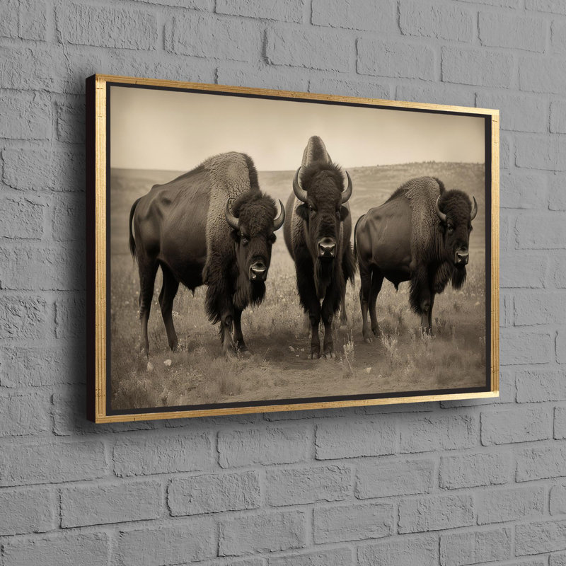 Print on Canvas, 25 cm H x 35 cm W, Framed Print without Mat, Gold