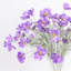 Tige de cascade en soie cosmos-25518699-40020482