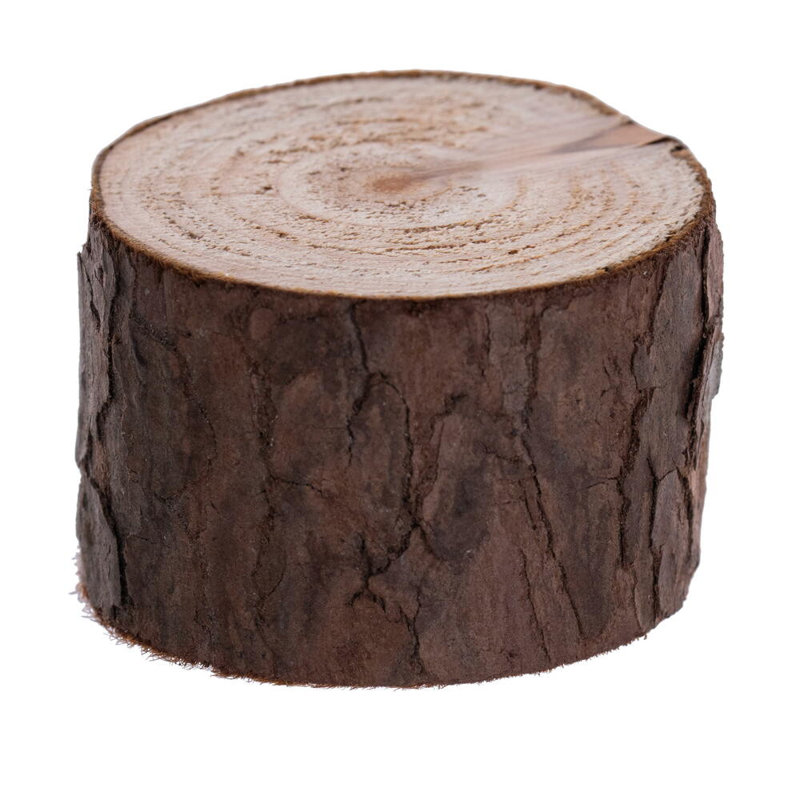 6" Mini Pine Tree 72 Tips Wood Base