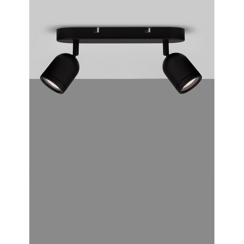 Delidle Spotlight