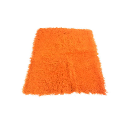 2x3 Pinson Orange Rug