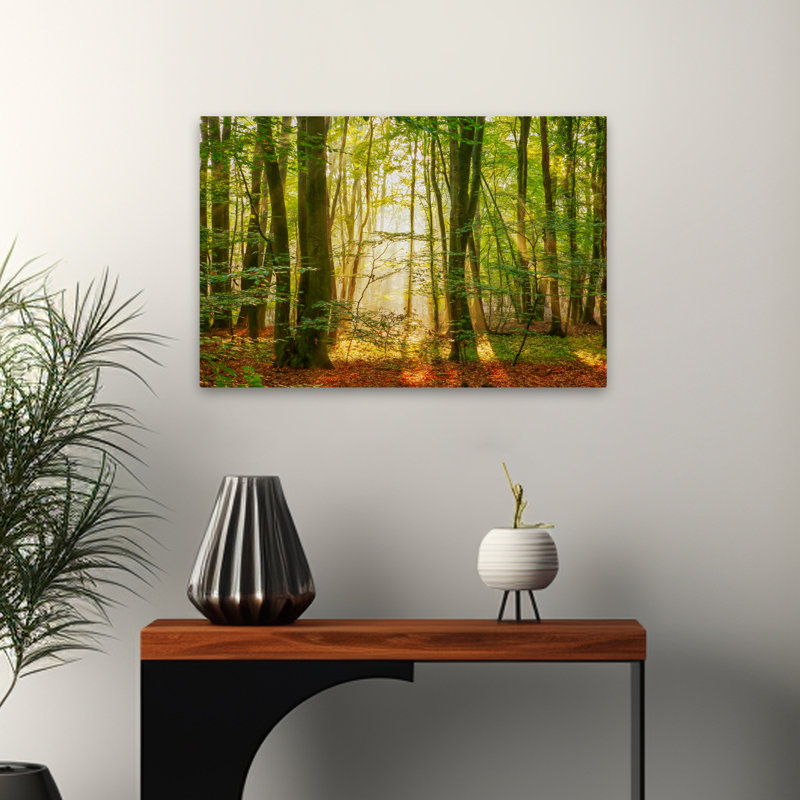 Power Beam - Paysages, photographie, arbres, art, H 16 po x l 24 po