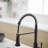 Pull Down Kitchen Faucet-125337695