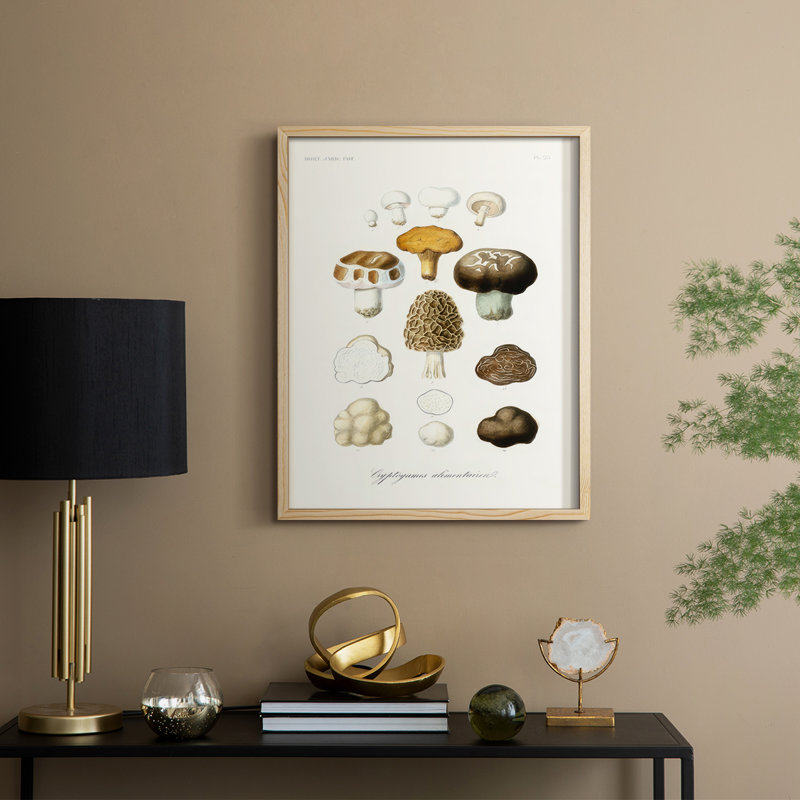 Fruit & Vegetable Varieties IV Framed Print - Solid Wood, Naturel, H 21 po x l 17 po