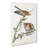 Red-shouldered Hawks by Albert Racinet - Wrapped Canvas Print-55341574