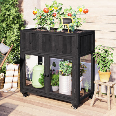 Cadre froid Garden Mini: 35,4 x 17,7 x 37,4 po, noir, bois de sapin, portes en polycarbonate, lit surélevé avec drainage, stable 35,4 x 17,7 x 37,4 po pour jardin: sur roues