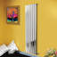 Shonnard Vertical Single Flat Panel Radiator-1033453760-1033600281