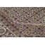Oriental Area Rug