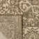 Donivin Performance Oriental Indoor/Outdoor Area Rug