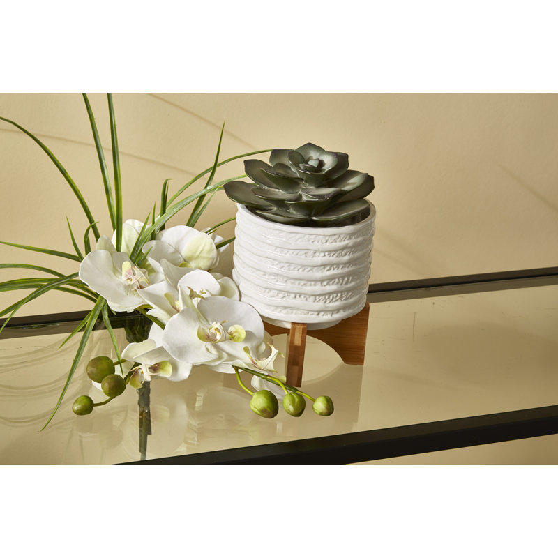 Modern Textured Ceramic Planter with Stand Indoor Outdoor, 7" H x 6" W x 6" D, White