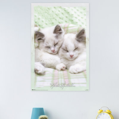 Animals Paper Print