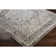 Soejima Oriental Indoor Rug