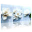 Ensemble de 3 tableaux sur toile tendue représentant des fleurs de magnolia blanc, pour la décoration du salon et de la chambre.-912521369