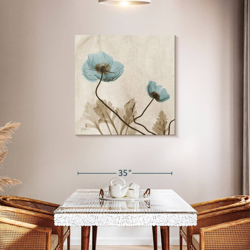 Radiographie du coquelicot bleu Harnek
