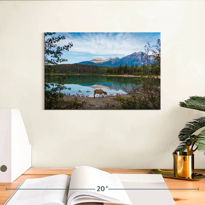 Orignal sauvage du parc Jasper, H 8 po x l 12 po