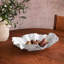 Vida Havana Aries Bowl-285652911