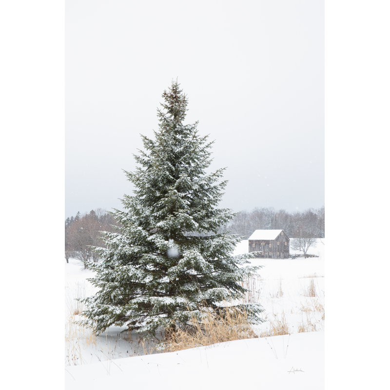 Perfect Pine Tree 1 Piece Wrapped Canvas Wall Art, 46cm H x 30cm W