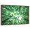Forest Canopy