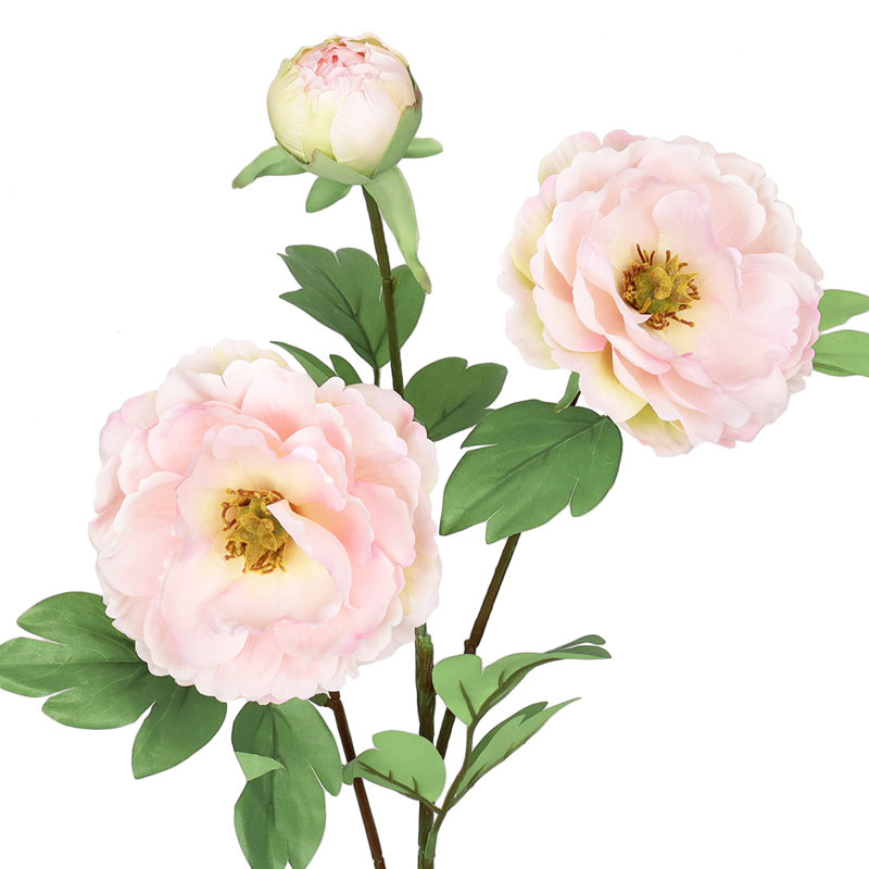 Peony Arrangement, Blush Pink