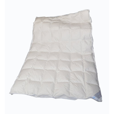All Seasons Down Comforter