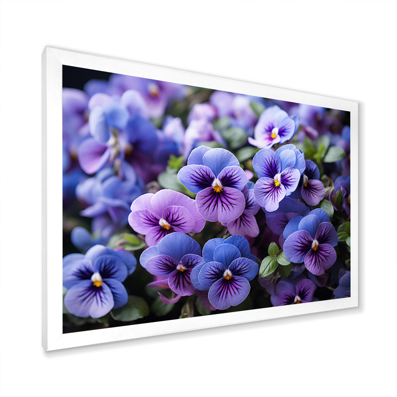 «Purple Pansies Field Vibrant» sur toile, Cadre simple blanc, H 30 po x l 40 po x P 1,5 po