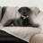 Cozy Waterproof Pet Throw-99071195