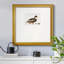 Golden Mallard - reproduction de cadre photo simple-87965421