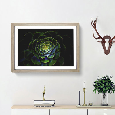 Dark Green Succulent Plant - Picture Frame Graphic Art Print