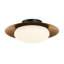 Haines Glass LED Flush Mount-925535984