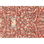 Handmade Wool Oriental Area Rug