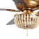 Bristal 52'' Ceiling Fan with Light Kit
