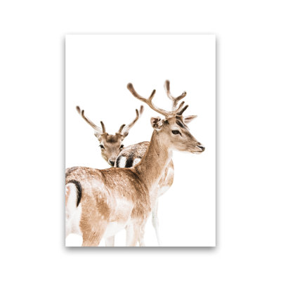 Deers II by Victoria Frost - Print