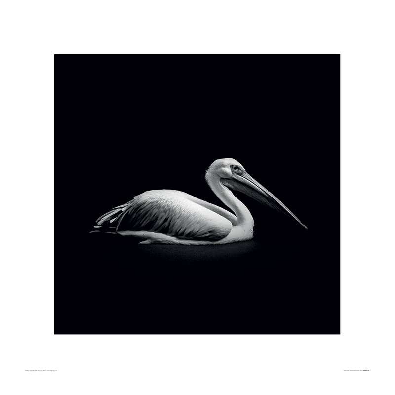 Marina Cano - No Frame Print, 60cm H x 60cm W
