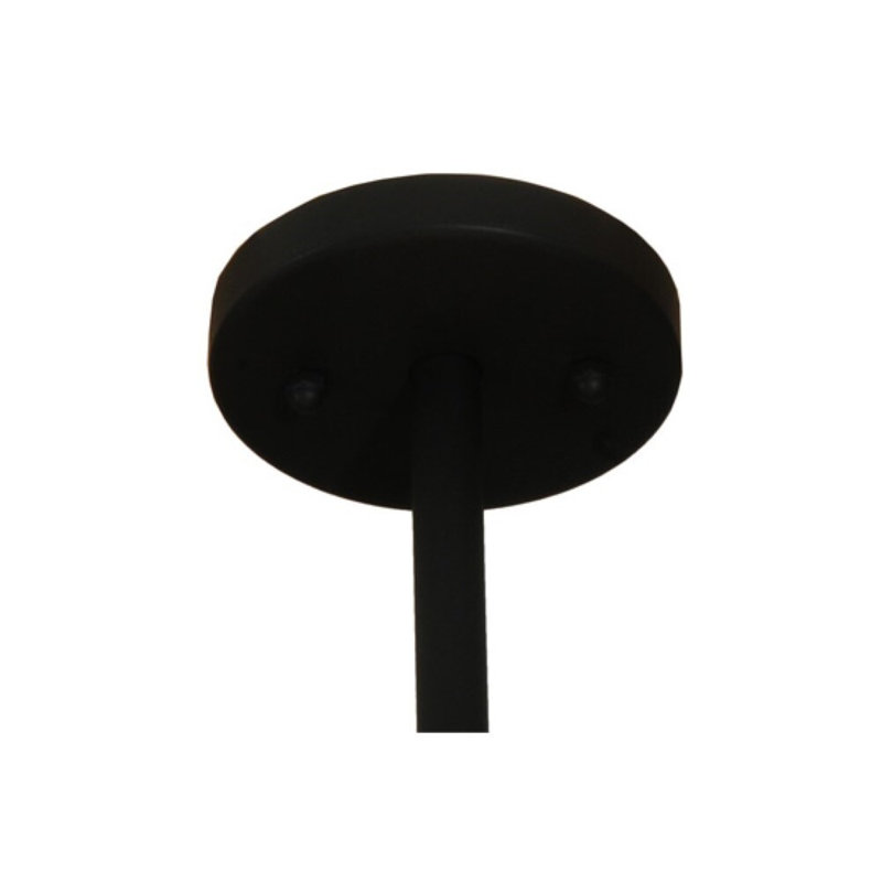 Chestnut Hill 12 - Light Pendant