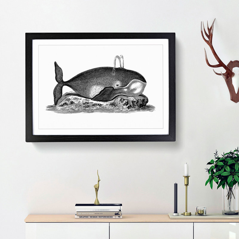 Great Whale in Black and White by George Shaw - Picture Frame Drawing Print, 27cm H x 36cm W x 2cm D, Black Framed
