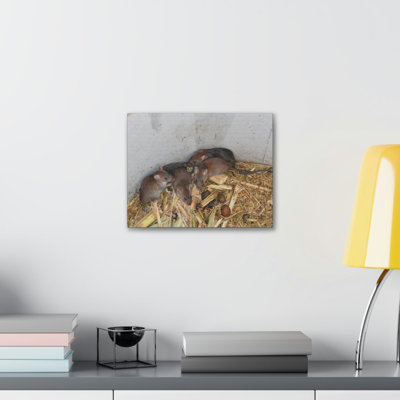 No Frame Print on Canvas