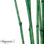 Ensemble de 12 tiges décoratives naturelles en bambou pour un vase, centre de table de décoration unique de 43 po Uniquewise-559063897-566587464